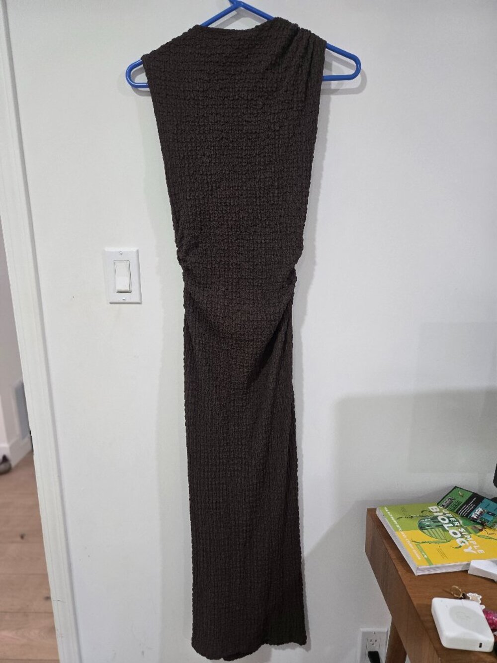 Zara Maxi Sleeveless Dress